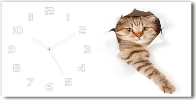 Produktbild von Wanduhr aus Glas – 60x30 cm - Glasbild - Glasuhr - Gehärtetes Glas - weisse-zeiger - Katze