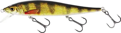 Produktbild von Westin Jerkbite SR 11cm 13,5g Suspending Real Perch