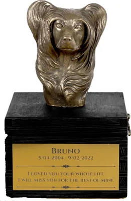 Produktbild von Chinesischer Schopfhund - eine Urne mit Gravur und Hundeskulptur, letzter Abschied, handgefertigtes Produkt der Marke Art-Dog