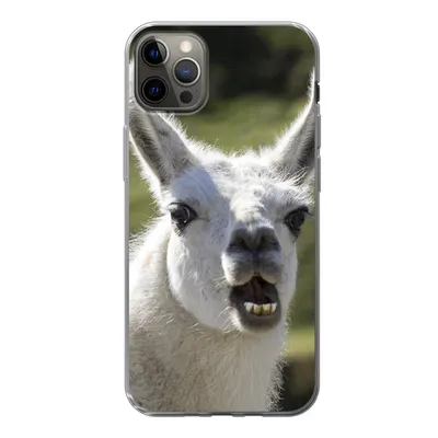 Produktbild von MuchoWow® Handyhülle Schutzhülle Hülle für iPhone 12 Pro Max Lama - Lustig - Kinder - Jungen - Mädchen - Kinder Silikon Softcase Handy Hülle - Hartschale