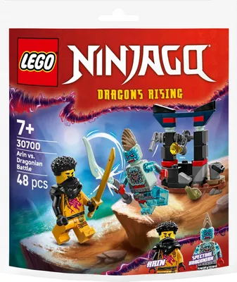 Image de LEGO NINJAGO Bataille d'Arin contre Dragoniano Set 30700 48 Pièces Âge 7+