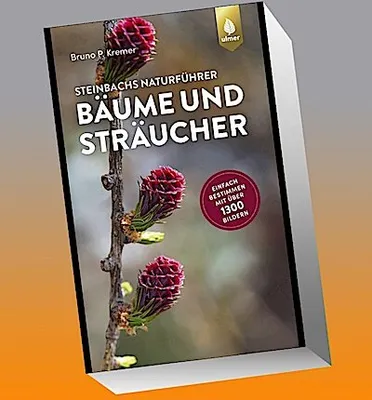 Obrázek produktu pro Steinbachs Naturführer Bäume und Sträucher