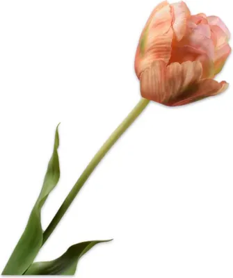 Produktbild von Kunstblume von Silk-ka – Seidenblumen-Tulpenstiel, orange-gelb-grün, 66 cm