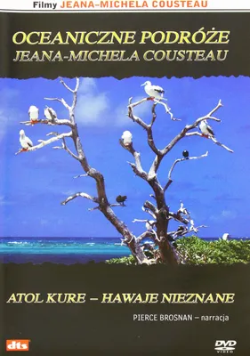 Produktbild von Jean-Michel Cousteau: Ocean Adventures: Voyage to Kure (nur Originalversion) [DVD]