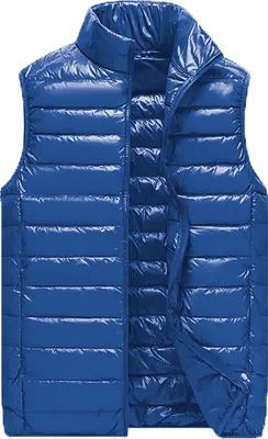 Produktbild von Mikro-Daunen-Weste royalblau (L)