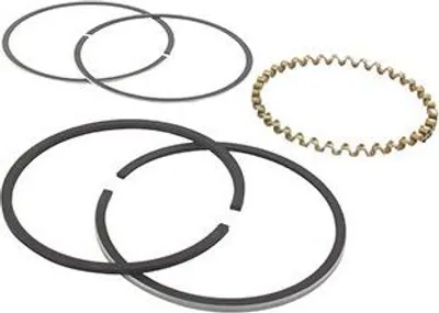 Image de Jeu De Segments Adaptable Pour Kohler Modèle K-241, 10 Ch.. Remplace Origine: 235288