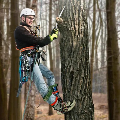 Immagine prodotto di Attrezzi per l'arrampicata sugli alberi, imbracatura di sicurezza, pedali resistenti, verde
