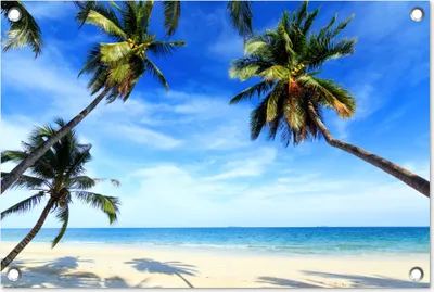 Produktbild von MuchoWow® 60x40 cm Outdoor-Poster Gartendeko Sichtschutz Garten Poster für den Garten  Palmen - Strand - Meer