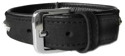 Produktbild von Das Lederband Hundehalsband Roma schwarz/schwarz, Länge: 55 cm / Breite: 35 mm