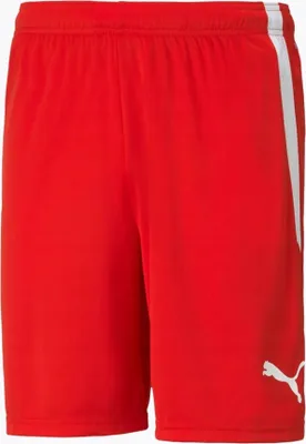 Zdjęcie produktu dla Puma Spodnie Spodenki Męskie Teamliga Czerwone, 70492401, Rozmiar: 188