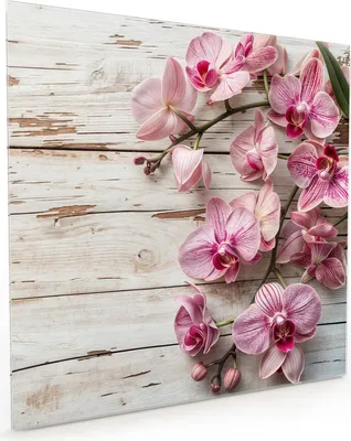 Produktbild von Küchenrückwand Spritzschutz Glas mit Motiv Orchideen auf Holz 40 x 40 cm