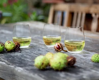 Image de Riedel RIEDEL "O" VIOGNIER/CHARDONNAY 0414/05