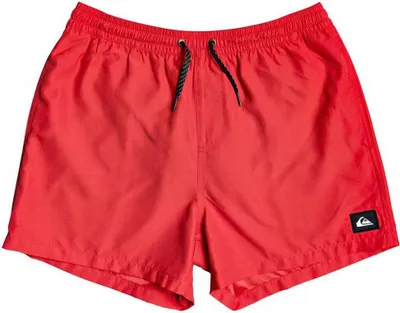Image de Quiksilver Boardshort pour homme EVDAYVL15 M JAMV