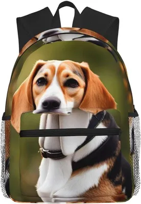 Productafbeelding van Casual Rugzak - Laptop Tas - Dagelijks Gebruik - Gewatteerde Riemen - Niet Gespecificeerd - Pauw Print