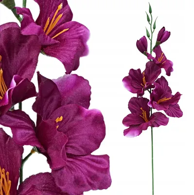 Produktbild von Topoblu Künstliche Gladiolenblume Violett 53cm Dekoration