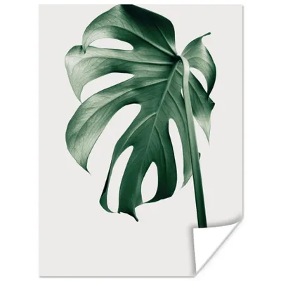 Produktbild von MuchoWow® Poster Monstera - Blätter - Grün - Stilleben 90x120 cm - Wohnzimmer