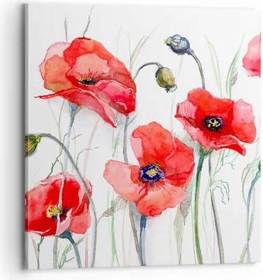 Produktbild von Bild auf Leinwand - Leinwandbild - Blume Mohn Wiese - 70x70cm - Wand Bild - Wanddeko - Wandbilder - Leinwanddruck - Bilder - Kunstdruck - Wanddekoration - Leinwand bilder - Wandkunst - AC70x70-3584