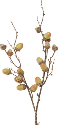 Produktbild von Deko Zweig Eicheln Künstlich Herbstdeko 80cm Naturfarben
