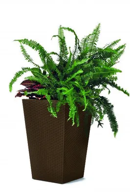 Produktbild von KETER Rattan Pflanzgefäß S - braun