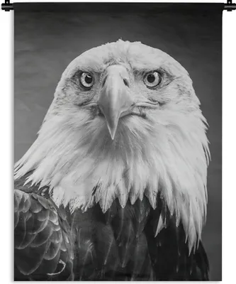 Produktbild von MuchoWow® Wandteppich Wandbehang Adler - Raubvogel - Schwarz - Weiß - Tiere 60x80 cm Tapisserie Dekoration Wandtuch - Decke - Wandtücher - Wohne