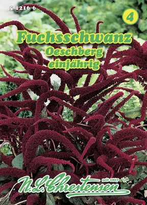 Artikelbild 1 von 'Fuchsschwanz Oeschberg' aus der Kategorie Fuchsschwanzsamen