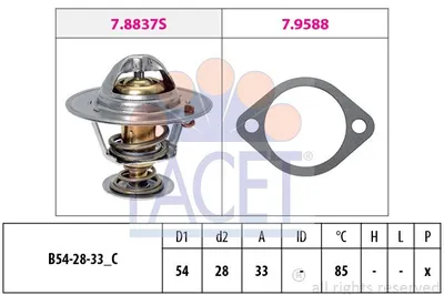 Produktbild von FACET Thermostat + Dichtung