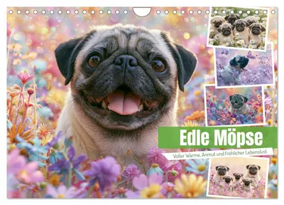 Produktbild von Edle Möpse (Wandkalender 2027 DIN A4 quer), CALVENDO Monatskalender
