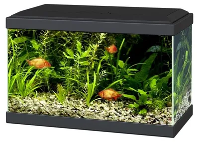 Productafbeelding van Ciano Aqua 20 LED | 17L | 40 x 20 x 26CM  Zwart Aquarium Geleverd met kap, verlichting en filter