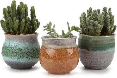 Produktbild von Famanu Blumentopf Set 3 Stück - Bunte Keramik für Sukkulenten - Mit Abflusslöchern - Dekoratives Geschenk für Pflanzenliebhaber