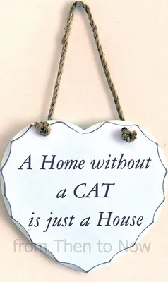 Produktbild von Lesser & Pavey Herzschild A Home Without A Cat Is Just A House