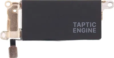 Image de Moteur de vibration Taptic original pour Apple Watch Series 6 44 mm