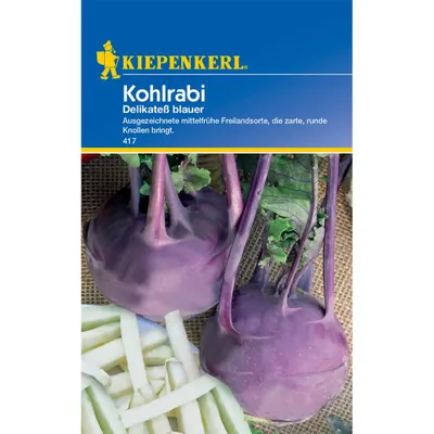 Produktbild von Kiepenkerl Kohlrabisamen Delikateß blauer