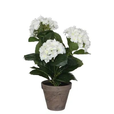 Image de Mica Decorations Hortensias Plante artificielle dans un pot de fleurs Stan - H40 x Ø35 cm - Blanc