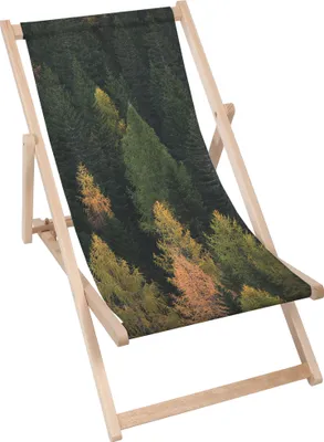 Zdjęcie produktu dla Dreamroots Składany drewniany leżak, drewno bukowe do 130 kg, składany leżak z 3-stopniową regulacją nachylenia oparcia, Coniferous Forest