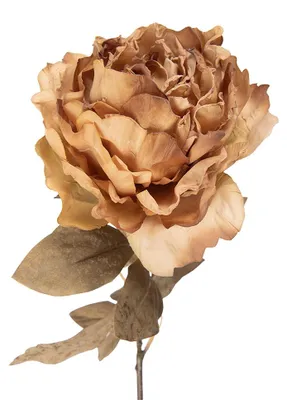 Productafbeelding van Clayre & Eef Kunstbloem, 70 cm, beige, kunststof