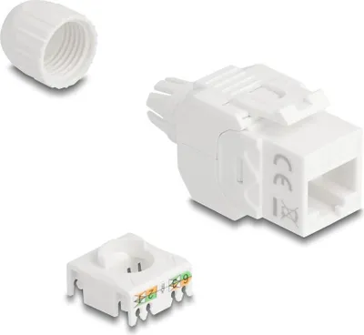 Obrázok produktu pre DeLOCK 90721, Plochý, Biela, RJ-45, LSA, Samica, 22/24