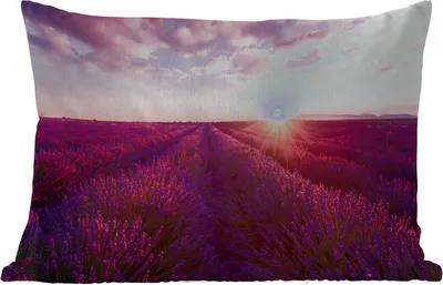 Produktbild von MuchoWow® Outdoor Kissen - Lavendel - Blumen - Frankreich - 60x40 cm - Wetterfest - Lounge Kissen - Zierkissen - Kissen für Innenräume