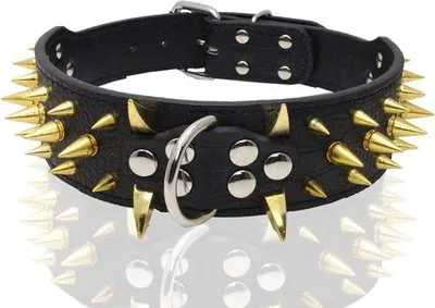 Immagine prodotto di Collare per cani con punte larghe - 6,5 cm - Collare regolabile per cani di taglia media e grande