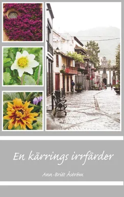 Produktbild von En kärrings irrfärder