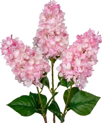 Obrázok produktu pre Umelá hortenzia Panicle Hydrangea 73 cm ružová sada 3