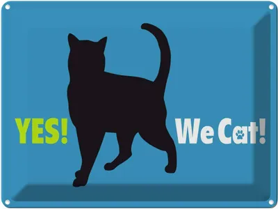 Produktbild von vianmo Blechschild 30x40 cm Yes We cat Katze blau
