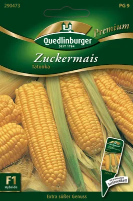 Produktbild von Quedlinburger Saatgut - Zuckermais Tatonka - Samen - 290473