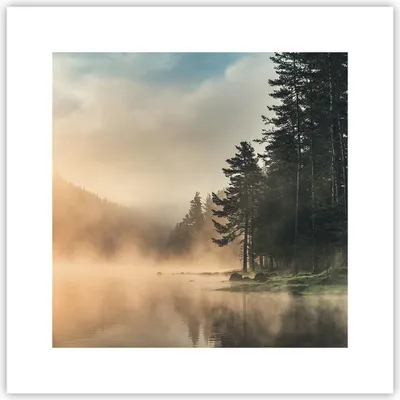 Produktbild von Poster - Poster ohne Rahmen - Nebel See Wald - 30x30 cm - Wand Bild - Wanddeko - Wandbilder - Kunstposter - Wandposter - Bilder - Kunstdruck - Wanddekoration - Wandbild - P2XAC30x30-4440