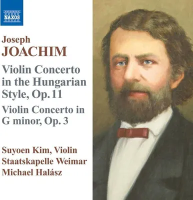 Image de Concerto pour violon n°2