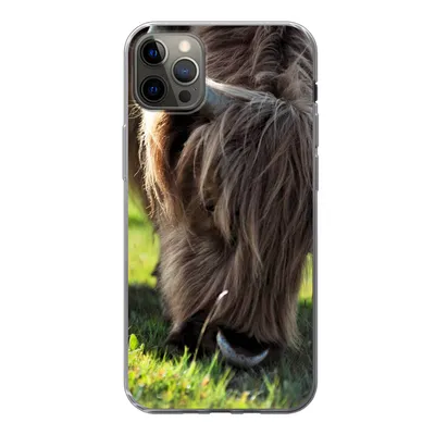 Produktbild von MuchoWow® Handyhülle Schutzhülle Hülle für iPhone 12 Pro Max Schottischer Highlander - Hörner - Sonne Silikon Softcase Handy Hülle - Hartschale