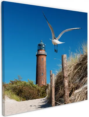 Produktbild von Wallario Premium Leinwandbild Möwe am Strand mit Leuchtturm in Größe 50 x 50 cm