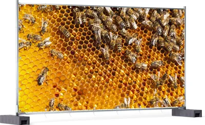 Produktbild von Wallario XXL Outdoor-Poster für Garten oder Balkon, Motiv Honigwaben mit Bienen, in ca. 340 x 173 cm