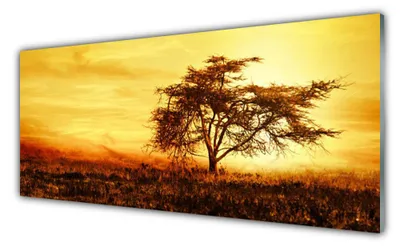 Produktbild von Acrylglasbilder 125x50 Wandbild Druck Baum Natur
