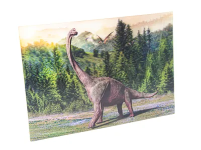 Produktbild von 3 D Ansichtskarte Dinosaurier Brachiosaurus, Postkarte Wackelkarte Hologrammkarte Tiere Tier Dinos