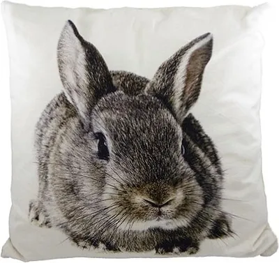 Image de Coussin - Lapin brun, environ 50 x 50 cm, coussin décoratif